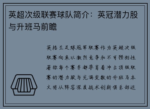 英超次级联赛球队简介：英冠潜力股与升班马前瞻